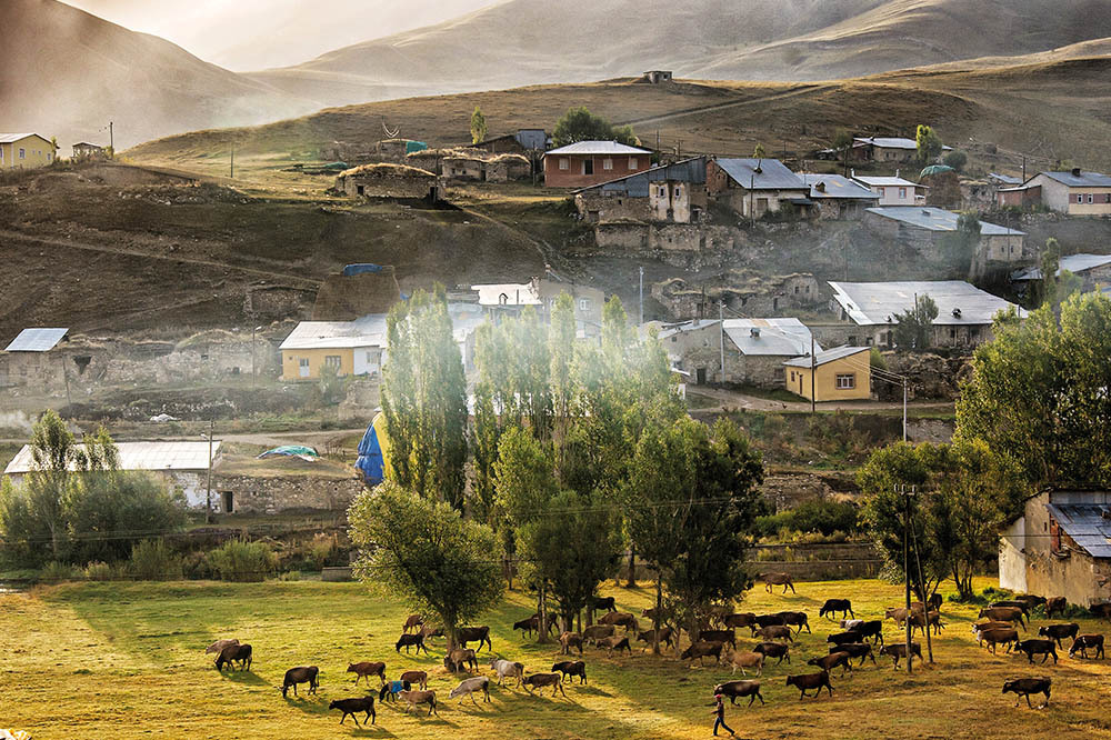 Şarbon, Et İthalatı Ve Kaybolan Meralar