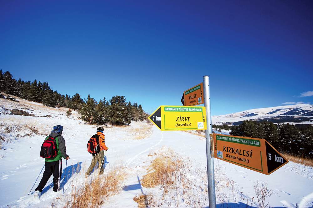 Sarıçam Ormanlarında Dört Mevsim