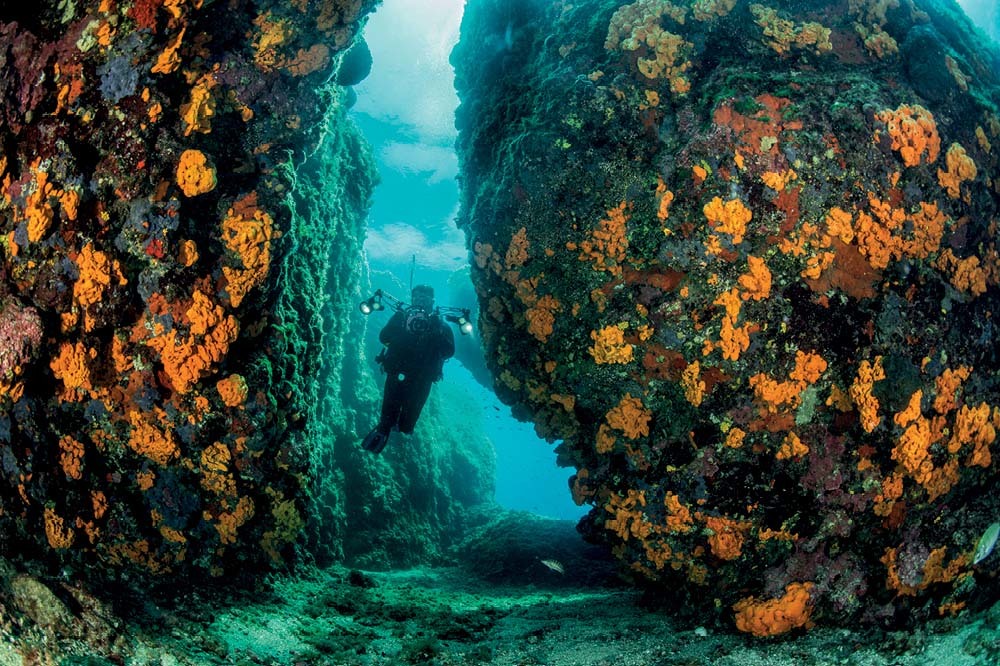 Seferihisar: Yavaş Şehrin Diplerinde