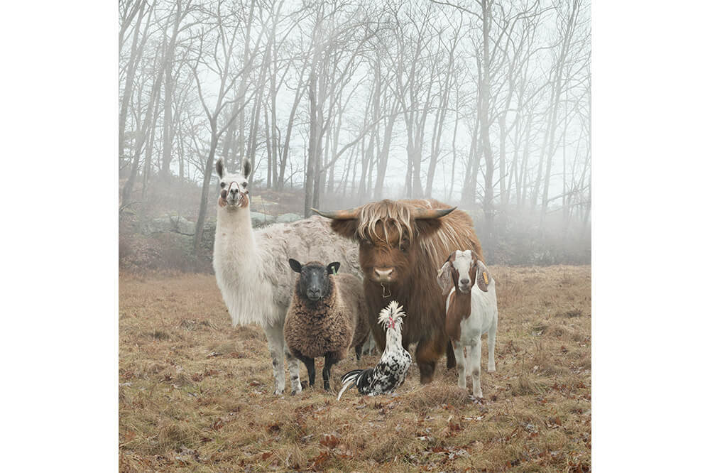“Şehrin Festivali” 212 Photography Istanbul