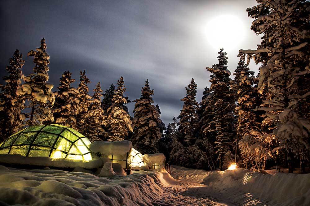 Soğuk Düşün Ortasında