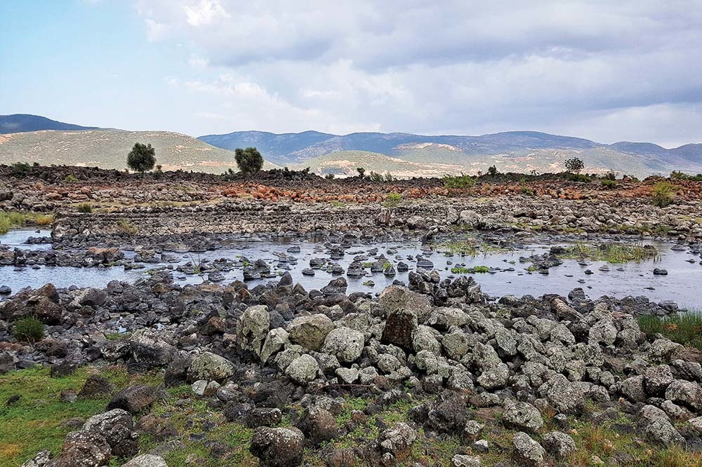 Suriye Sınırında Bir Vaha
