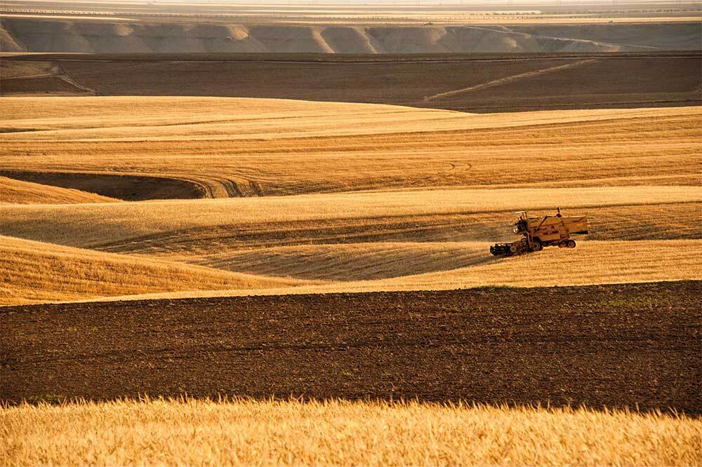 Tarımda 2025 Raporu: Üretim Bir Önceki Yıla Göre Azaldı