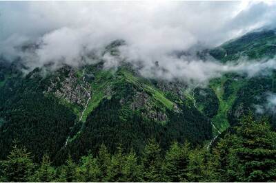 10 kişiden 8’i İklim Değişikliği İçin Endişeli