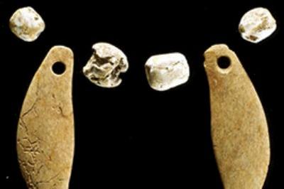 2000 Yıl Önce Amerika’da Süslenerek Gömülmüş Vaşak