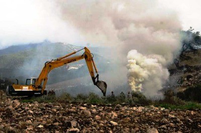 80 Bin Zeytin Ağacına Kıydılar