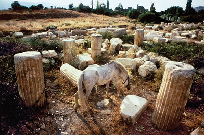 Ara Güler’in Gözünden: Aphrodisias