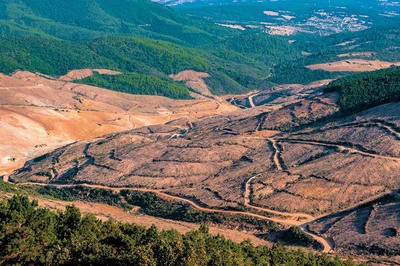 Arazi Özel Raporu: Akdeniz Kuruyor