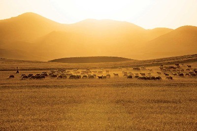 Arguvan, Doğanın Yazısı
