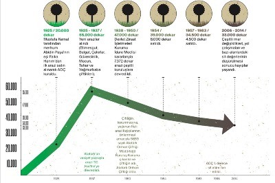 Atatürk Orman Çiftliği 