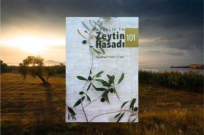 Ayvalık’ın Kolektif Hafızası: Zeytin Hasadı 101