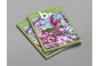 Beşiktaş’ın Kuşları b+’nın Kapağında