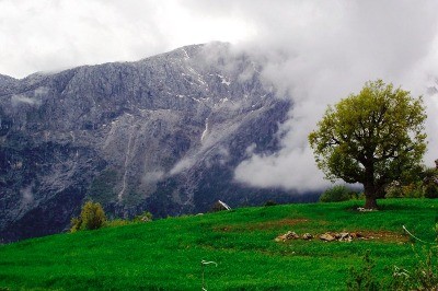 Bir Yerde Taş Varsa, Orası Cennettir