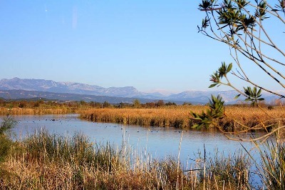 Boğazkent Tanrısı Eurymedon