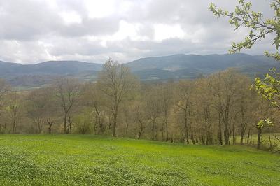 Çırpılar Köyü Kurtuldu