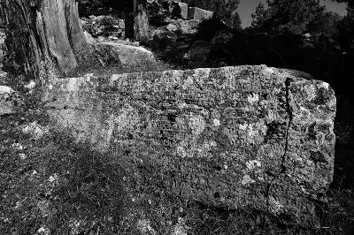 Doğa Üzerine Bir Epitom, Oinoandalı Diyojen