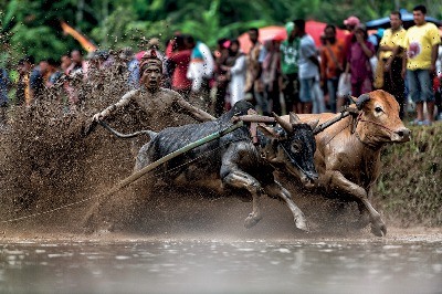 Endonezya, Doğaya Minnet