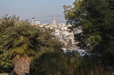 Geleceği Belirsiz Botanik Bahçesi