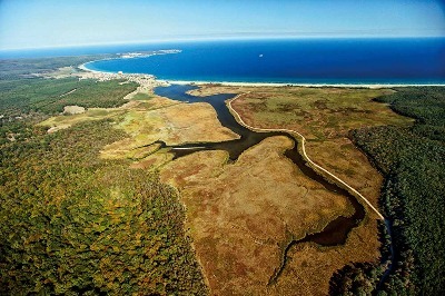 İğneada Longoz Ormanları: Kaybolan Büyü 