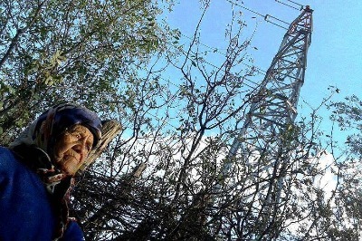 İki Ağacımı Kesip 300 Lira Verdiler