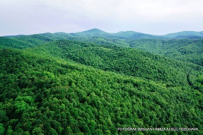 Istrancaların Kalbine 91 Hançer