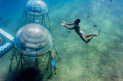 İtalya Sualtında Tarım: Geleceğin Tarlaları 