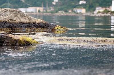 Karadeniz’i Bir Tek Türkiye Korumuyor