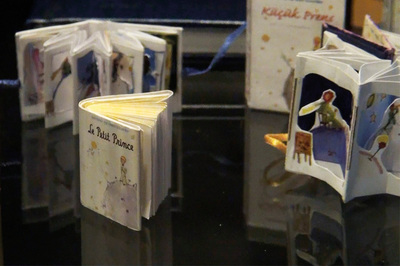 Küçük Prens Evreni