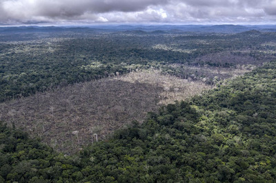 Küresel Limit Aşım Günü: 2021’i Tükettik 2022’den Borç Aldık