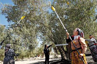 Kuşaklar Boyu Yaşasın Diye