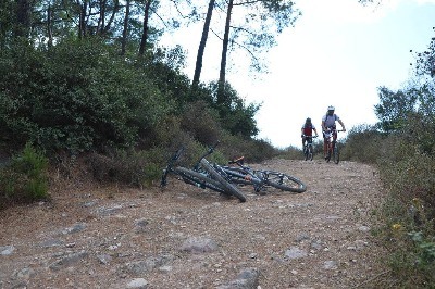 Macerada 2015 Hazırlıkları Hız Kazandı