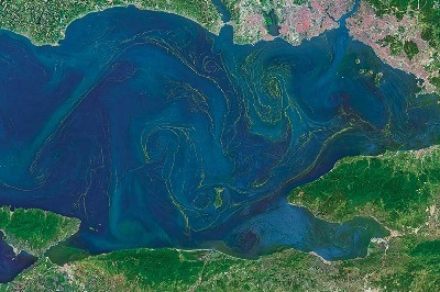 Marmara Denizi’nde Zehirli Renkler