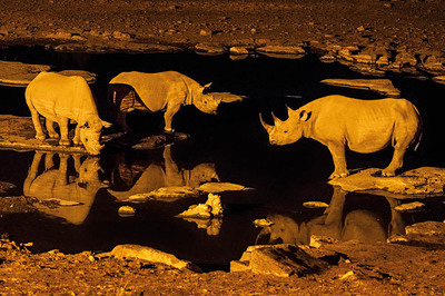 Namibya Belgeseline Ödül