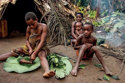 Ormanda İlaç Aramak