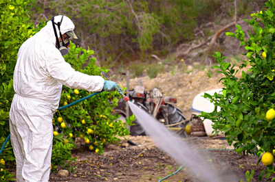 Pestisitler Her Yerde