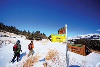 Sarıçam Ormanlarında Dört Mevsim