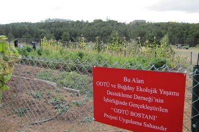 Tohumlar Daha Çok Kampüse