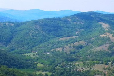 Trakya’dan Sevindirici Haber
