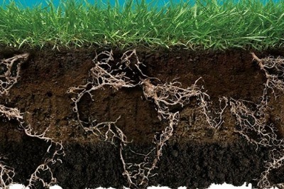 Türkiye Ne Kadar Toprak Kaybetti?