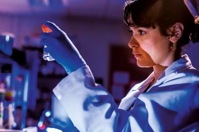 Yaşamın Sırrının Peşinde