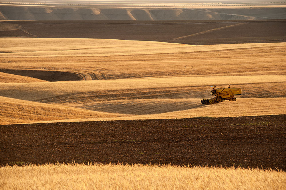 TİGEM: Anadolu Tarımının İtici Gücü