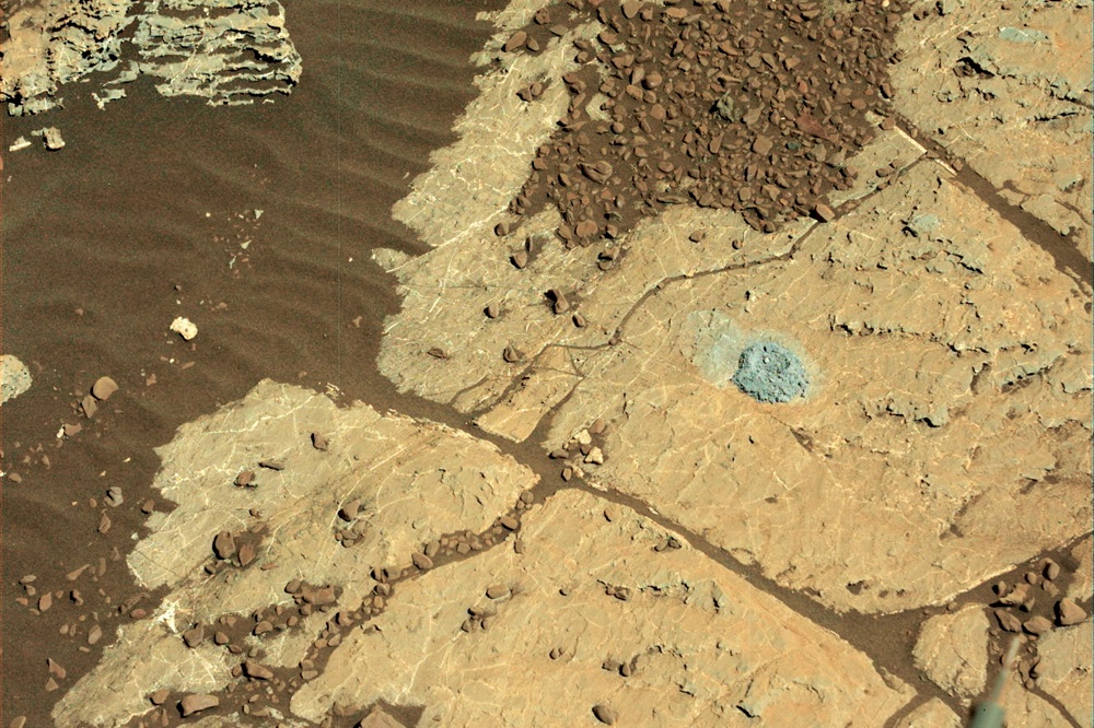 Topraksolucanları Mars'a Giderse