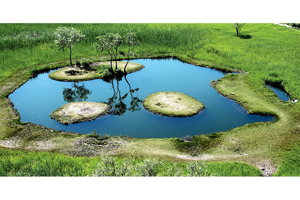 Turbalıklar Karbon Yutar