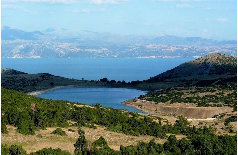 Türkiye Balıklarını Yitiriyor 