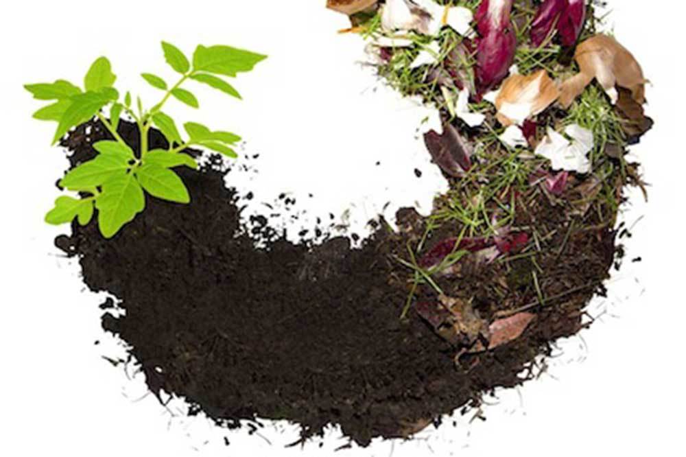 Türkiye Çöpünü Dönüştürüyor