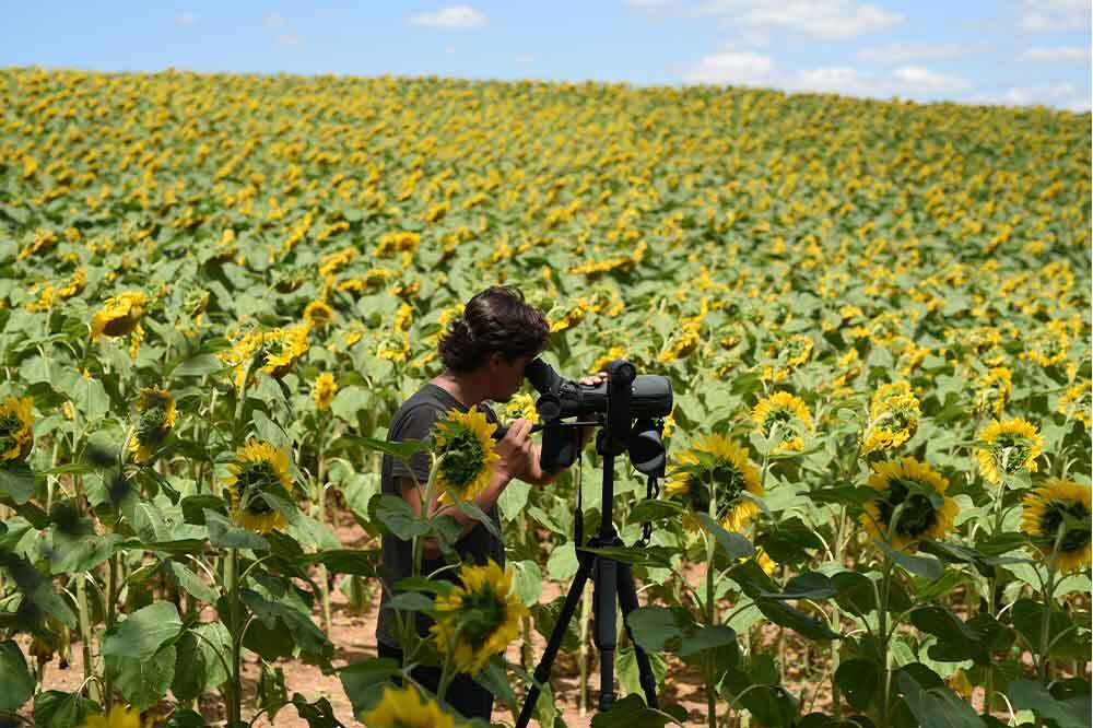 Türkiye’nin Önemli Doğa Alanları Envanteri Güncelleniyor