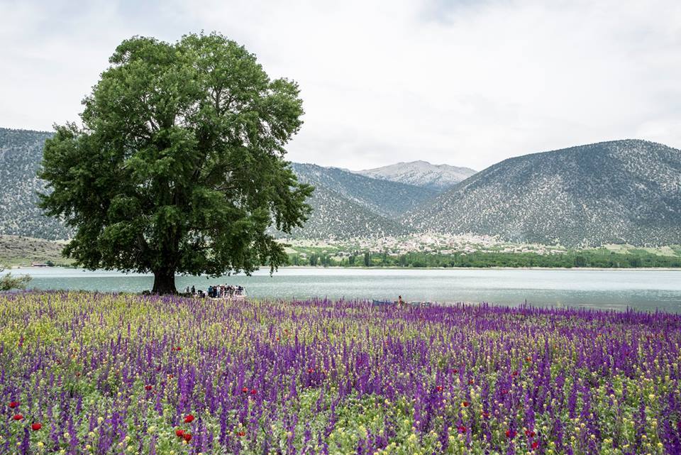 Türkiye'nin Önemli Doğa Alanları