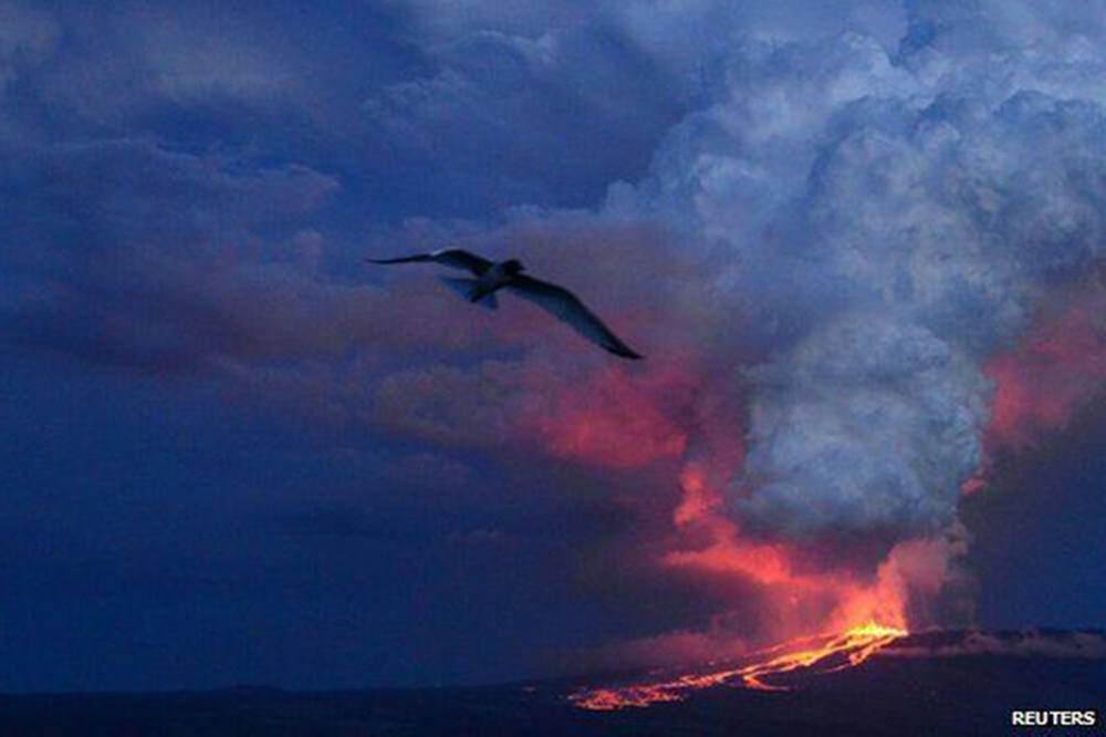 Wolf Yanardağı Faaliyete Geçti