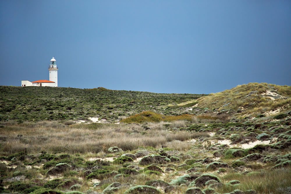 Yaban Kıyılar Adası, Bozcaada