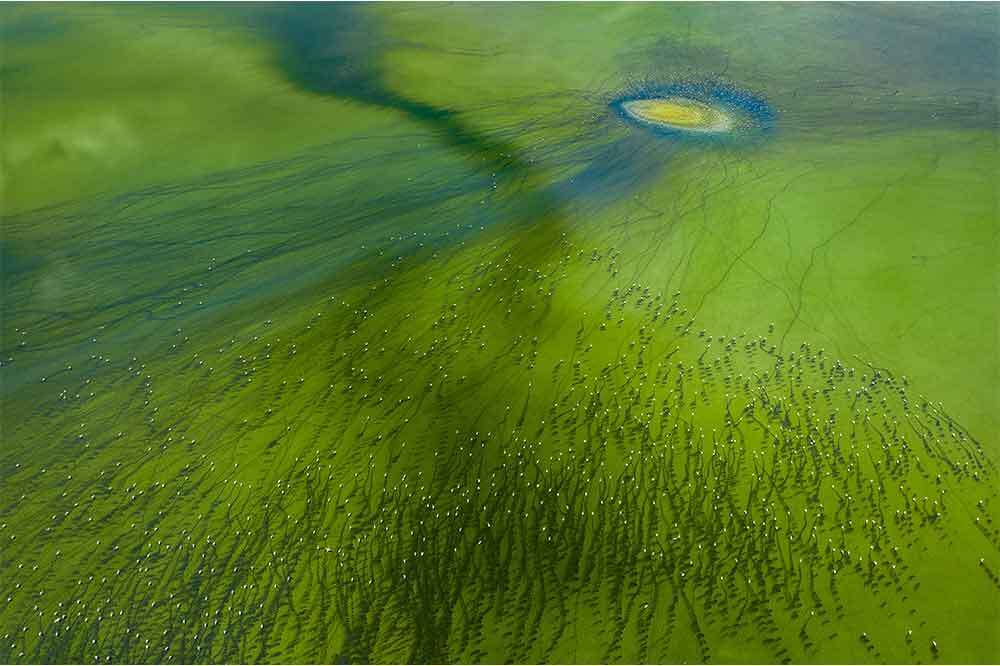 21. Devlet Fotoğraf Yarışması 2